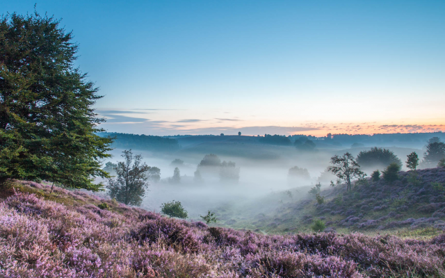 2160x1080 pix. Wallpaper nature, fog, morning, field, heather, hill