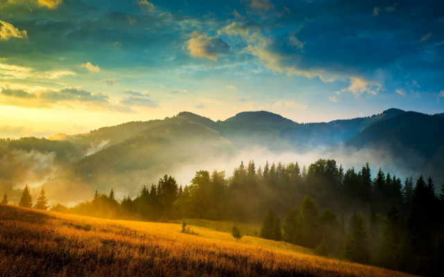 4494x3000 pix. Wallpaper carpathians, ukraine, landscape, mountains, tree, mist, nature