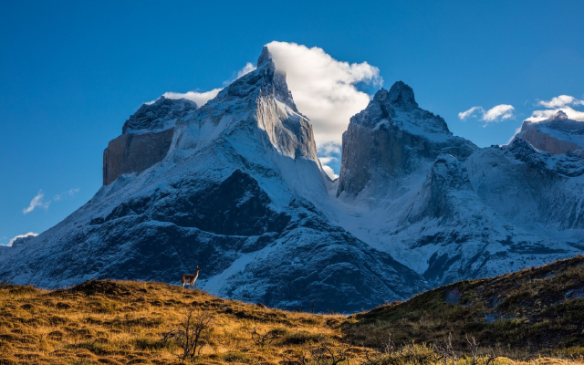 1920x1280 pix. Wallpaper patagonia, chile, guanaco, mountains, nature, peak, clouds