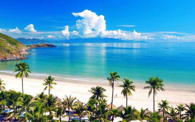 1920x1200 pix. Wallpaper vietnam, sky, sea, beach, palm tree, tropics, summer, 
