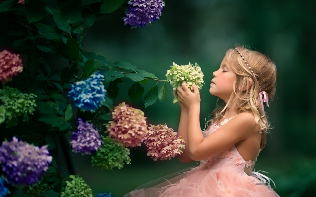 2048x1365 pix. Wallpaper child, girl, dress, nature, summer, flowers, inflorescence, hydrangea