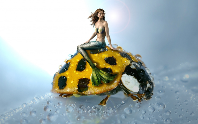2130x1414 pix. Wallpaper mermaid, ladybug, water drops, drops, graphics, art