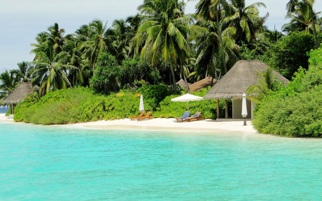 2048x1152 pix. Wallpaper maldives, resort, ocean, beach, nature, palm, tropics