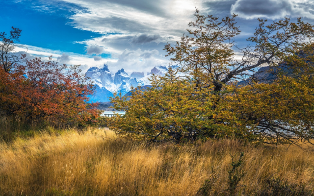 1920x1280 pix. Wallpaper grass, tree, mountains, sky, patagonia, chile, nature