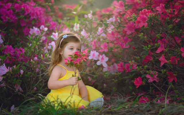 5352x3568 pix. Wallpaper child, girl, baby, nature, summer, flowers