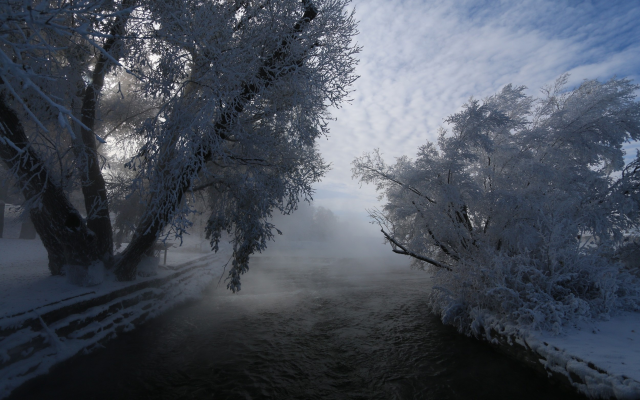 2500x1563 pix. Wallpaper winter, tree, hoarfrost, river, nature, snow