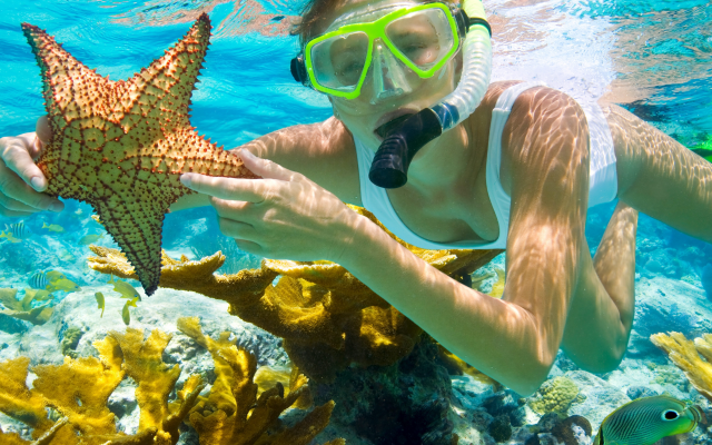 4368x2912 pix. Wallpaper snorkeling, women, sea, sea star, mask, coral, underwater