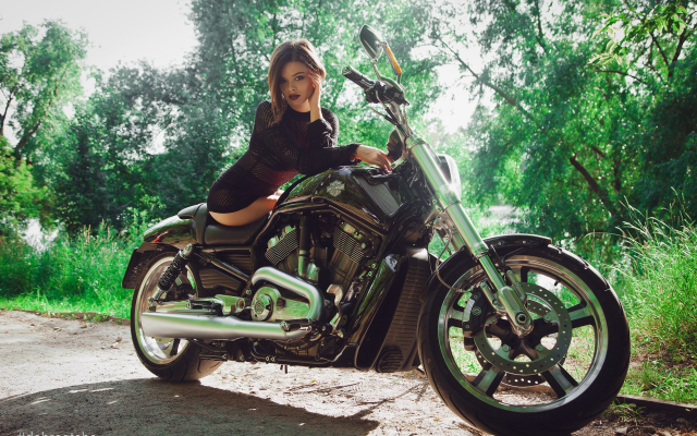 2560x1707 pix. Wallpaper harley davidson, motorcycle, bike, asian, girl, women