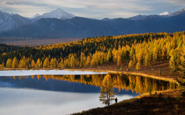 1920x1280 pix. Wallpaper altai, mountains, autumn, lake, nature, forest