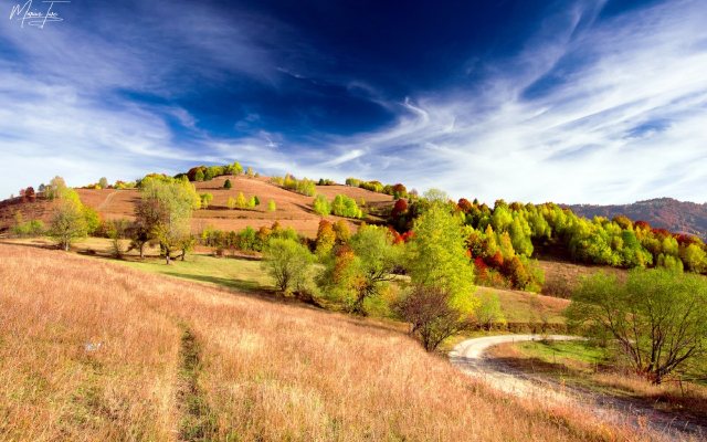 1920x1280 pix. Wallpaper field, hills, tree, sky, autumn, nature