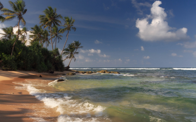 1920x1268 pix. Wallpaper shore, beach, sand, waves, palm, clouds, ocean, sri lanka
