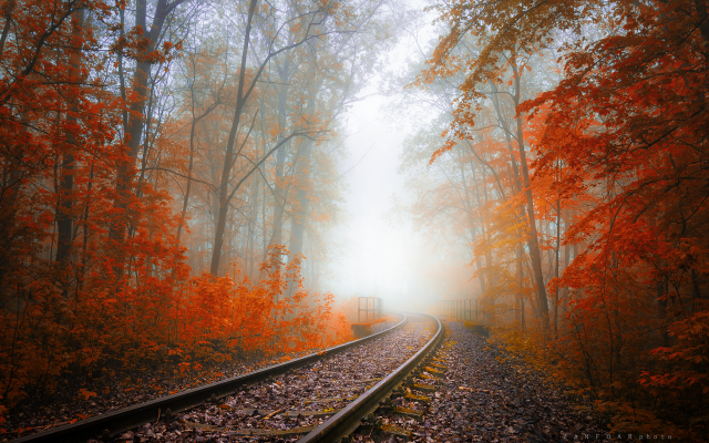 2000x1333 pix. Wallpaper autumn, railway, tree, fog, haze, leaves, autumn colors, nature