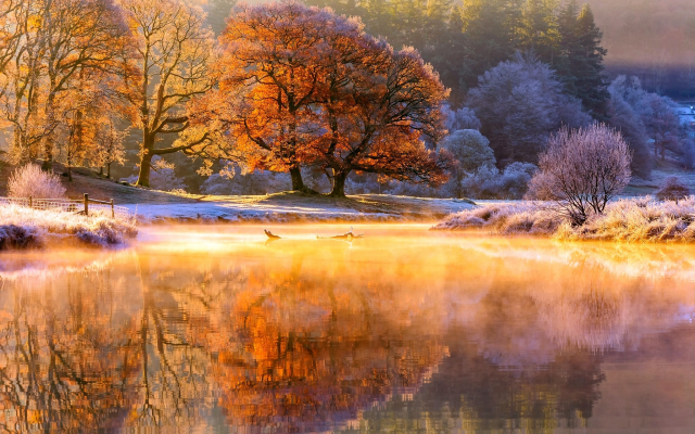 2048x1365 pix. Wallpaper autumn, river, november, tree, hoarfrost, nature, morning, frost, reflection