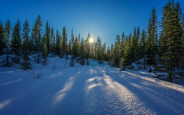 4800x3200 pix. Wallpaper winter, snow, sun, nature