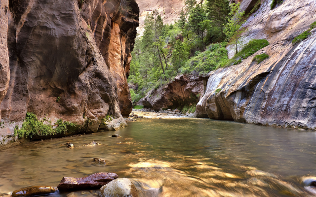 5184x3456 pix. Wallpaper nature, canyon, gorge, river, stones, water, narrows, zion national park
