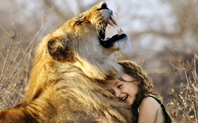 2560x1440 pix. Wallpaper lion, animals, baby, girl, child