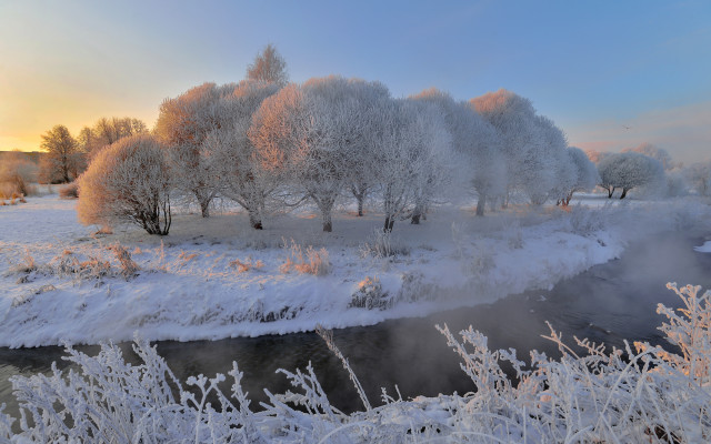 2000x1335 pix. Wallpaper nature, winter, snow, trees, frost, sun, stream, steam