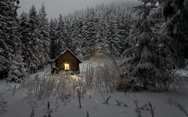 1920x1280 pix. Wallpaper house, forest, snow, winter, nature