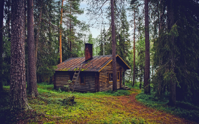 2201x1467 pix. Wallpaper forest, hut, finland, tree