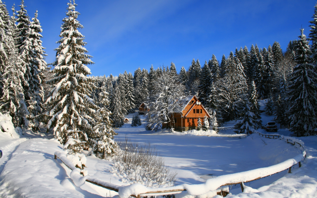 3888x2592 pix. Wallpaper winter, snow, nature, carpathian, ukraine, forest
