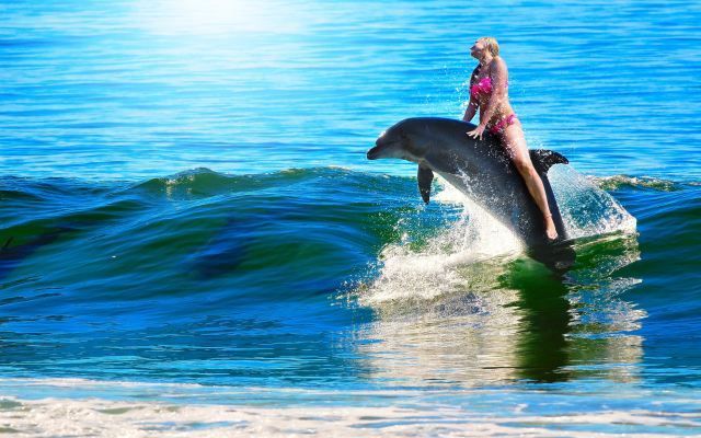 3995x2555 pix. Wallpaper woman, dolphin, ocean, sea