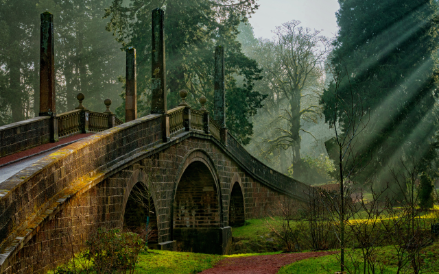 5000x3000 pix. Wallpaper bridge, tree, nature, old park, sun rays, park, scotland