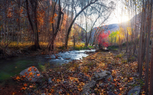 3840x2160 pix. Wallpaper autumn, river, tree, leaf, stones, nature
