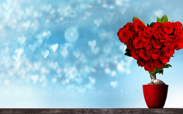 2560x1363 pix. Wallpaper holidays, pot, tree, flowers, rose, heart, bokeh, valentines day