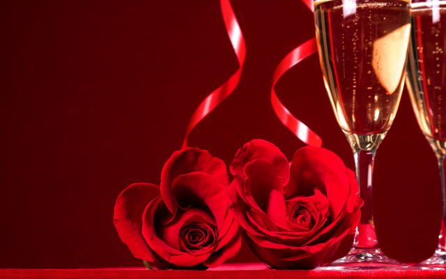 6381x4254 pix. Wallpaper holidays, flowers, red rose, glasses, champagne, petals