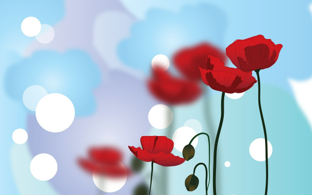 1920x1357 pix. Wallpaper poppies, bokeh, graphics, flowers, poppy