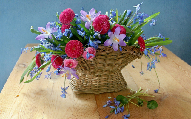1920x1300 pix. Wallpaper table, basket, flowers, snowdrops, crocuses, spring