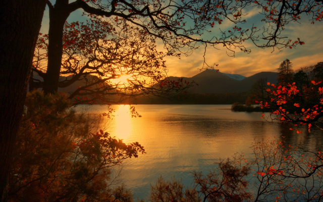 4147x2764 pix. Wallpaper lake, sunset, nature, tree, autumn