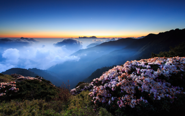 2048x1365 pix. Wallpaper flowers, morning, mountains, fog, night, hills, clouds, sunset, evening, sky, nature