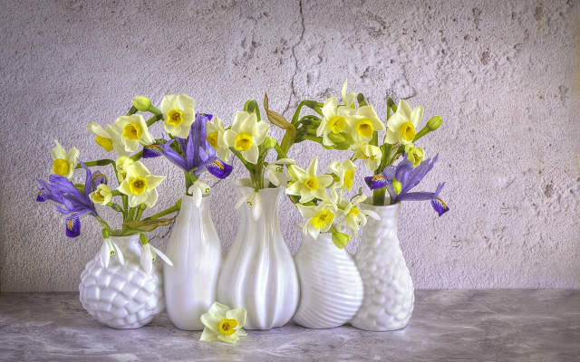 2000x1333 pix. Wallpaper vase, flowers, daffodils, snowdrops, irises, spring