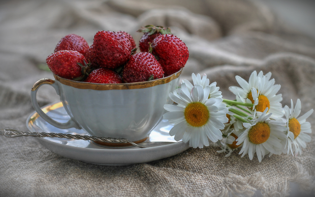 3250x2004 pix. Wallpaper cup, berry, strawberry, flowers, daisies, summer