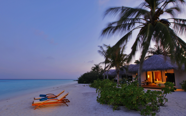 2560x1600 pix. Wallpaper velassaru beach villa, velassaru island, maldives, sea, ocean, villa, beach, sand, palm, tropics
