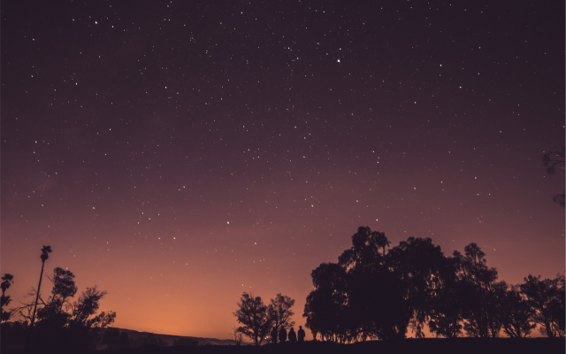 2509x1673 pix. Wallpaper sky, stars, night, trees, nature