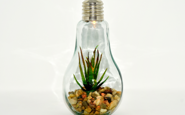 5121x3647 pix. Wallpaper lightbulb, plant, pebbles