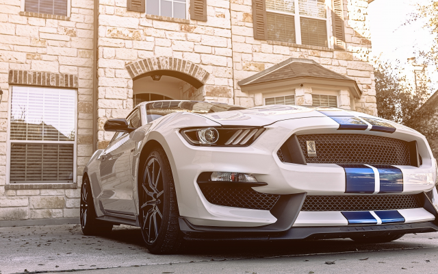 2560x1440 pix. Wallpaper ford mustang gt350, cars, ford mustang, ford, sportcar