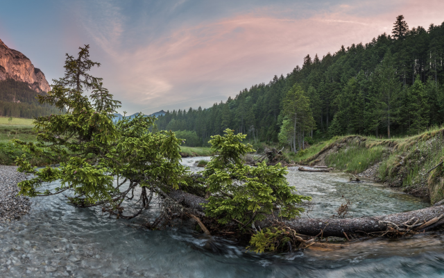 2560x1211 pix. Wallpaper river, water, trees, nature