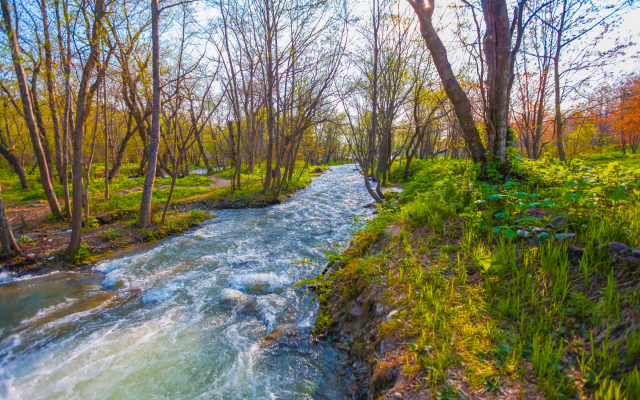 2400x1600 pix. Wallpaper stream, nature, spring, forest