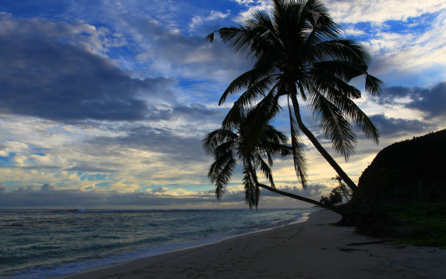 4752x3168 pix. Wallpaper lalomanu beach, samoa, beach, island, nature, laloman, asylum, palm tree, sea, ocean, 
