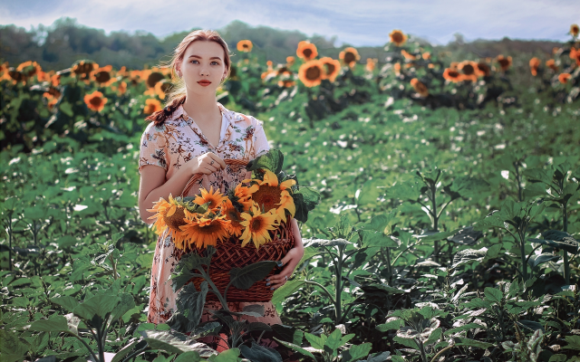 2560x1707 pix. Wallpaper summer, field, sunflowers, girl, women