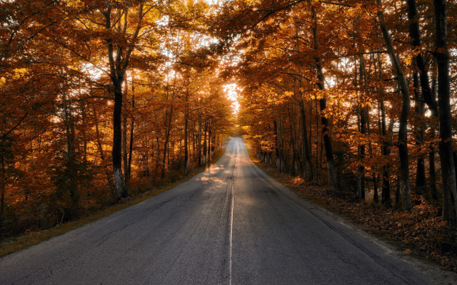 1920x1243 pix. Wallpaper road, autumn, trees, leaf, nature