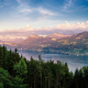 lake, forest, zurich, switzerland, nature wallpaper