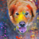 dog, animals, colorful, dust, Labrador, Retriever, tongue wallpaper