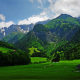 alps, mountains, cabin, grass, cows, forest, nature, landscape wallpaper