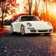 Porsche 911, car, autumn, leaf, sunset, Porsche, nature wallpaper