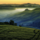 hill, fog, grass, valley, spring, nature, landscape wallpaper