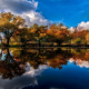 lake, tree, reflections, clouds, water, autumn, nature, landscape wallpaper